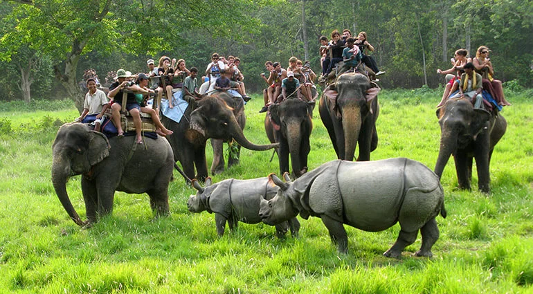 chitwan