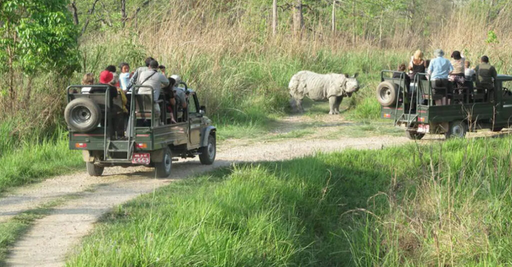 jungle safari chitwan